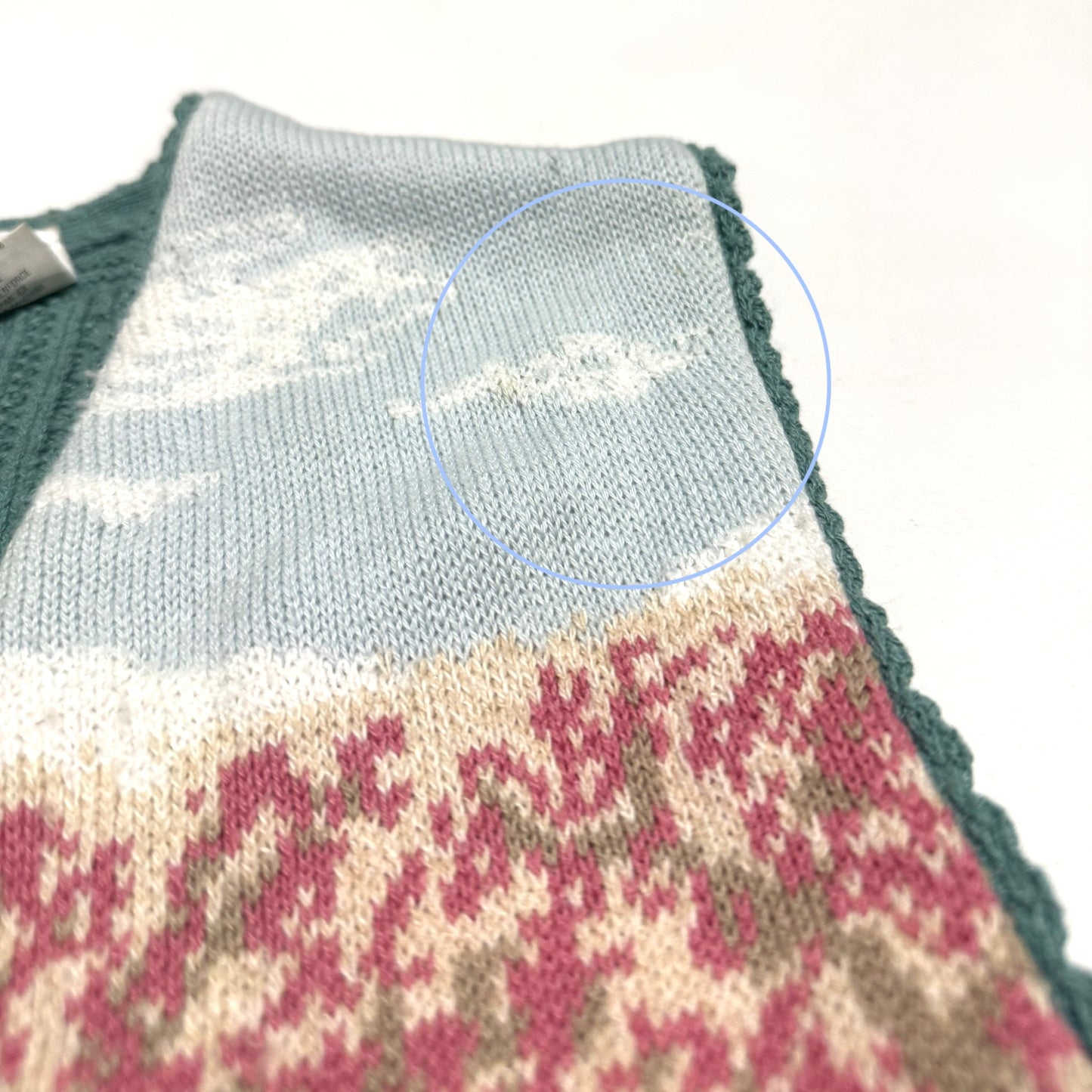 Vintage Northern Reflections, Cat in Garden Vest