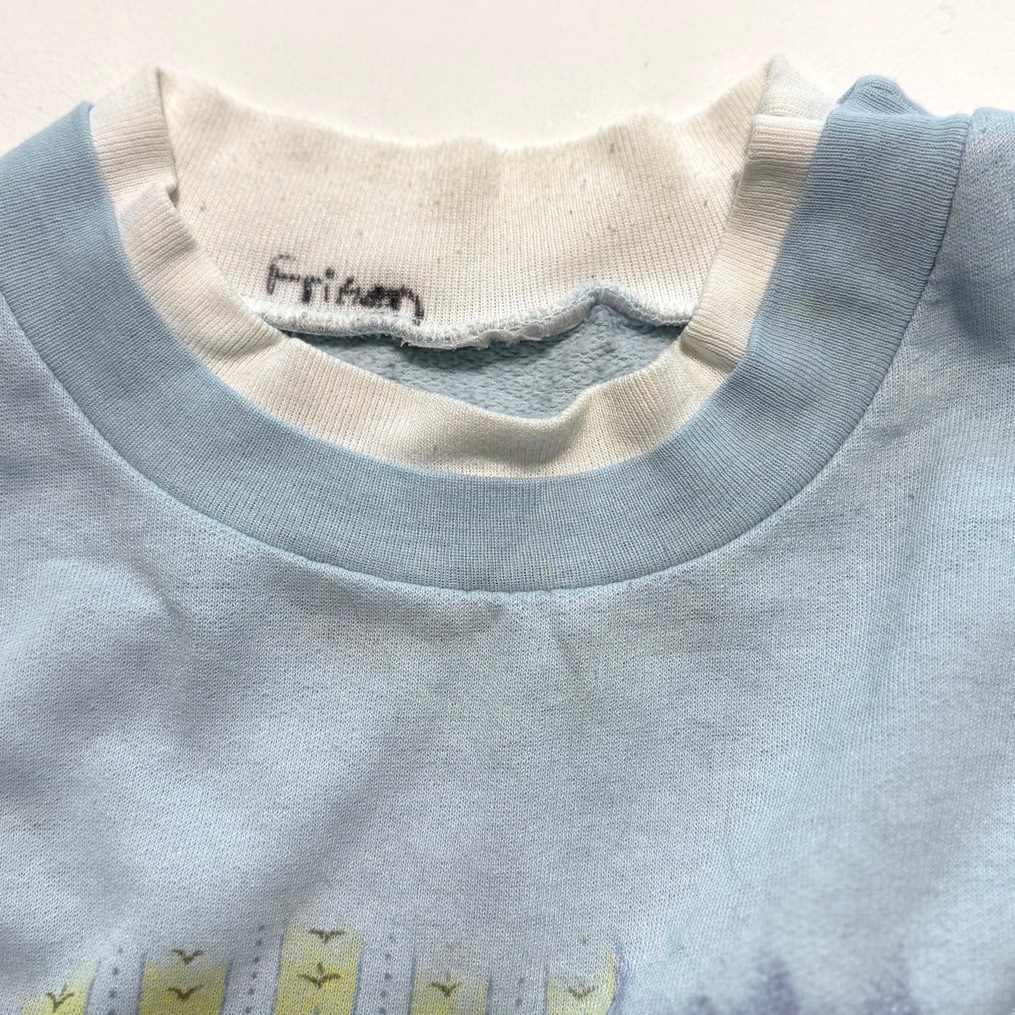 Vintage Kitten Sweatshirt