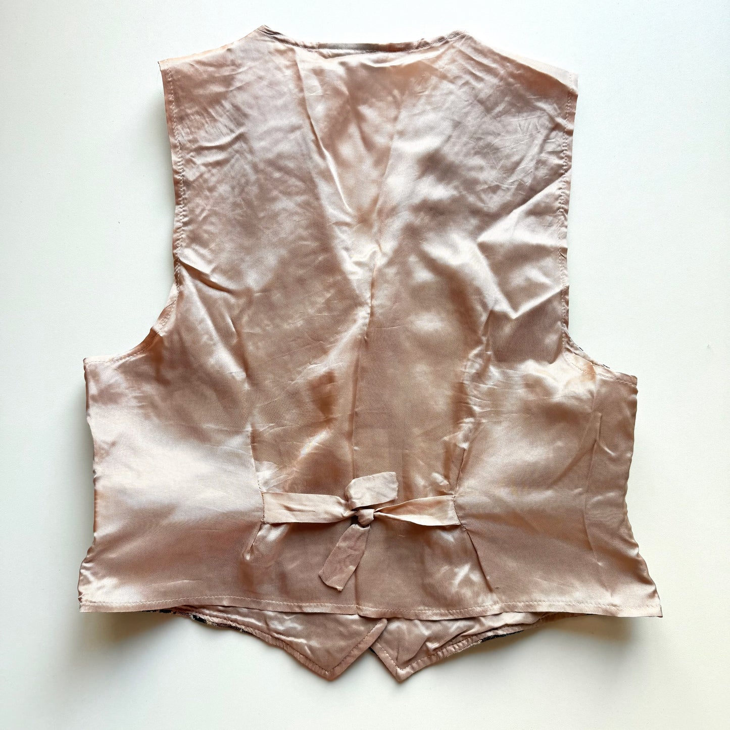 Vintage Cleo, Tapestry Dog Vest