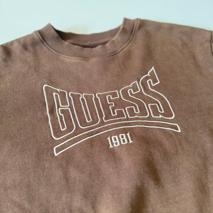 Brown sweatshirt with 'Guess 1981' logo on a light blue background