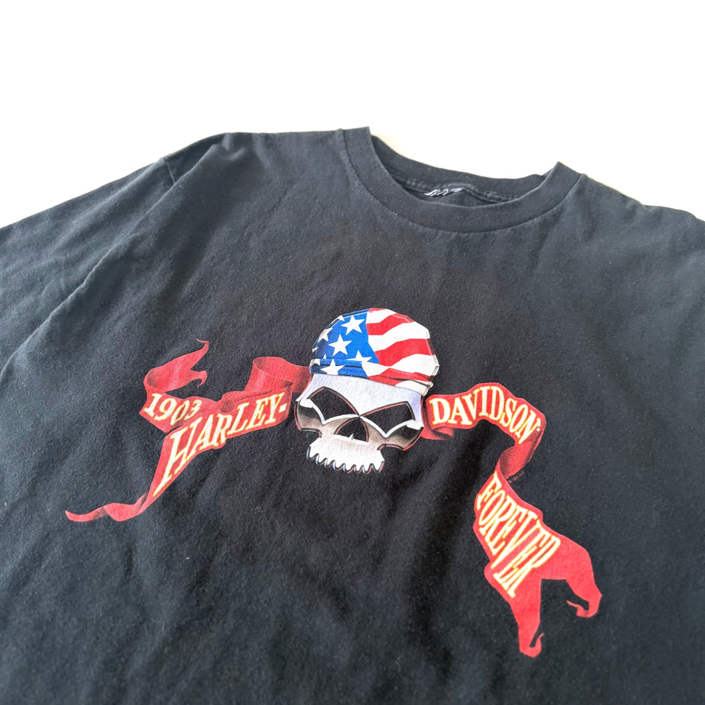 Vintage Harley-Davidson, Eau Claire T-Shirt