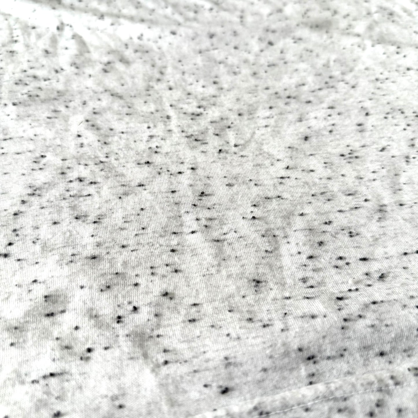 Secondhand The Beatles, Band T-Shirt