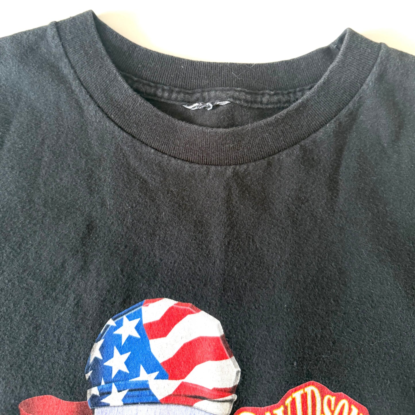 Vintage Harley-Davidson, Eau Claire T-Shirt