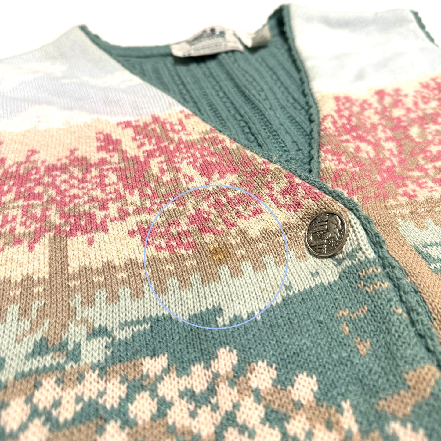 Vintage Northern Reflections, Cat in Garden Vest