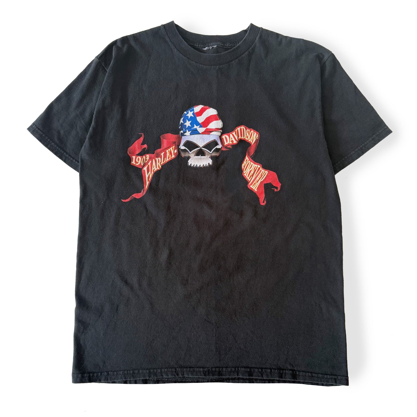 Vintage Harley-Davidson, Eau Claire T-Shirt