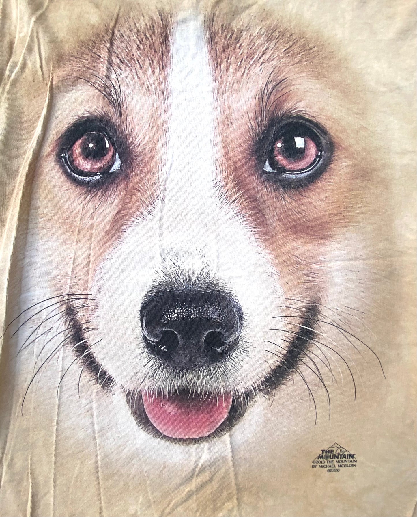 Secondhand The Mountain, Corgi T-Shirt