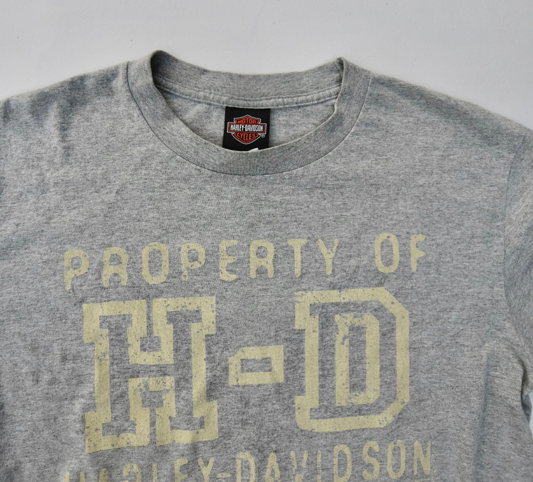 Secondhand Harley Davidson Virginia Beach T-Shirt