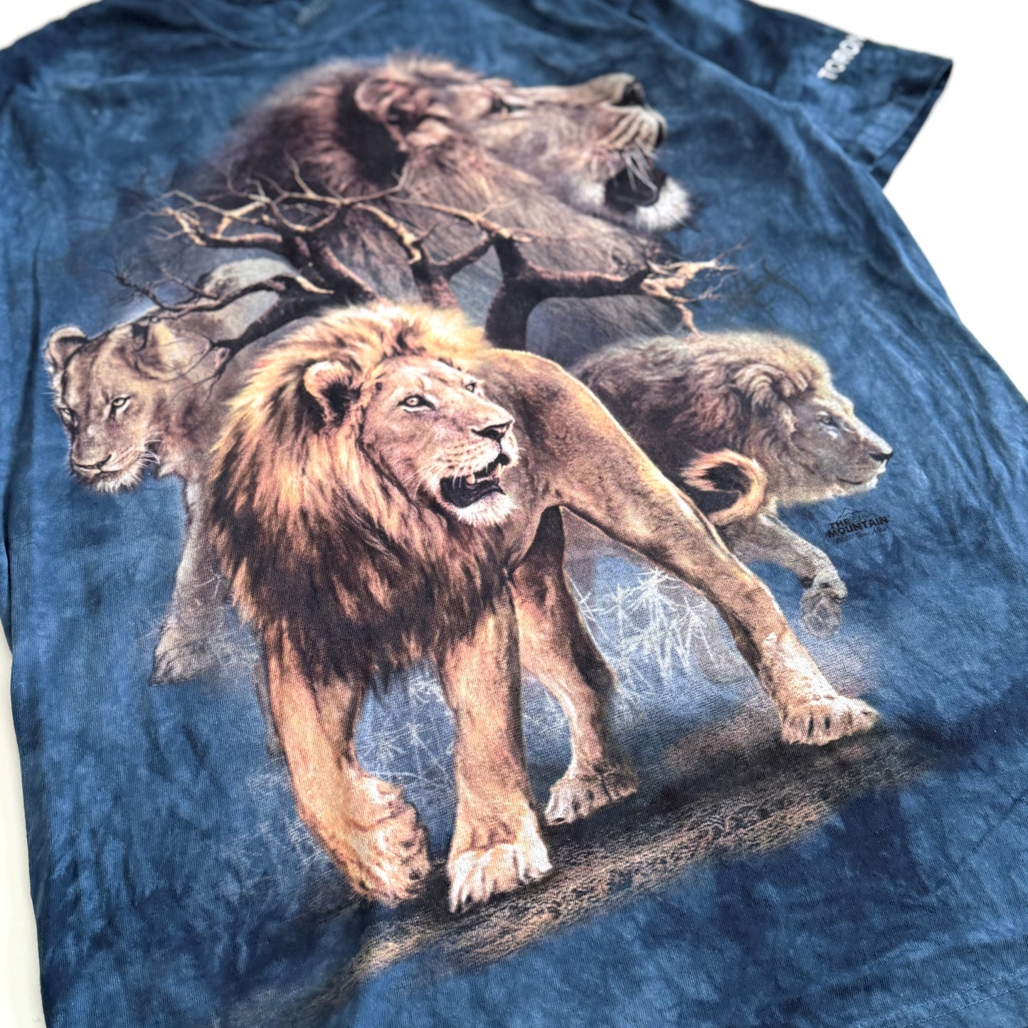 Secondhand The Mountain, Toronto Zoo Lion T-Shirt