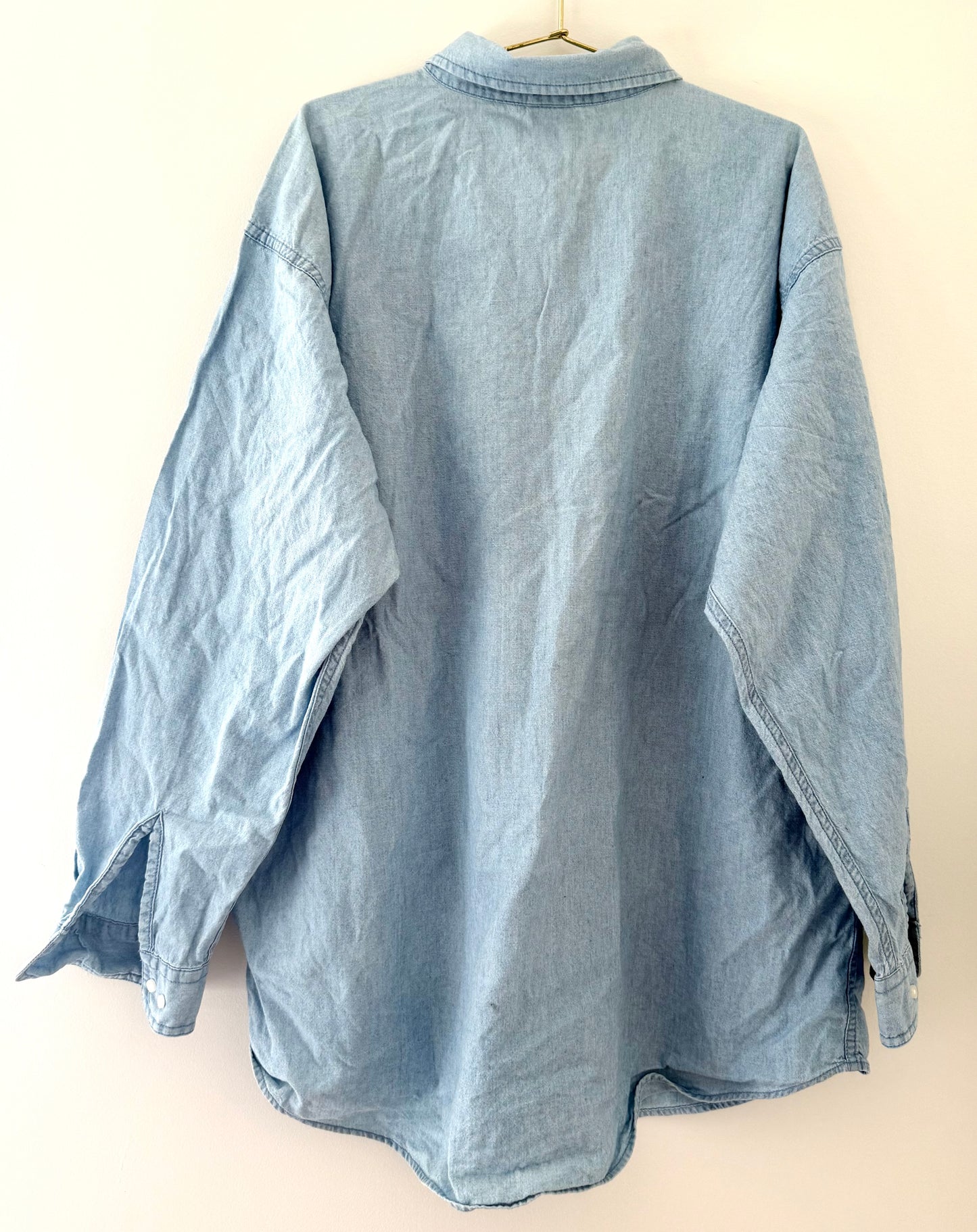 Vintage Looney Tunes, Christmas Denim Button Up Shirt